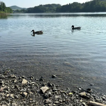 Sorpeblick *